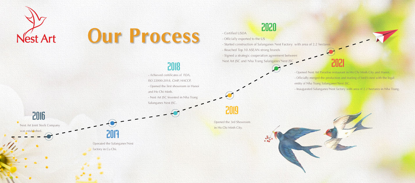 Our Process